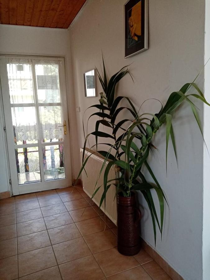 Kekturas-Tora Nyilo Badacsonyi Privat Berlemeny Hotel Badacsonytomaj Ngoại thất bức ảnh